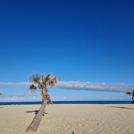 Appartement Front De Mer 르발카레스 외부 사진